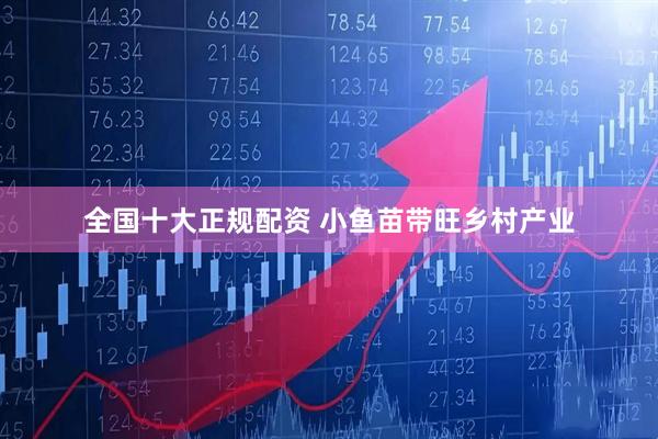 全国十大正规配资 小鱼苗带旺乡村产业