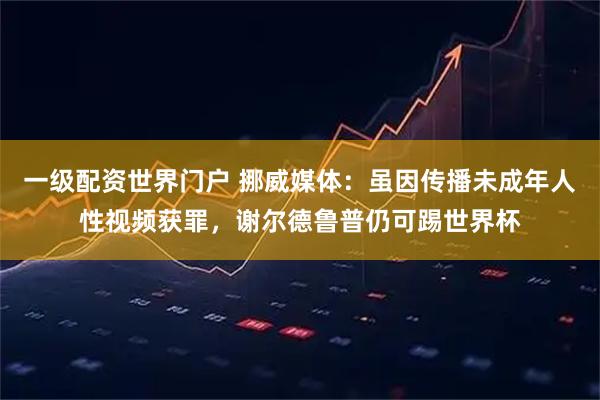 一级配资世界门户 挪威媒体：虽因传播未成年人性视频获罪，谢尔德鲁普仍可踢世界杯